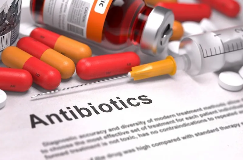 Antibiotics and Dental Appointments